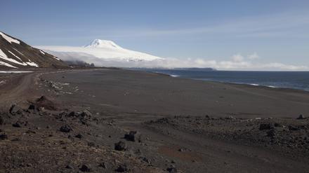 Schwarzer Sandstrand und der schneebedeckte Vulkan Beerenberg: Viel mehr gibt es auf der Insel Jan Mayen eigentlich nicht.