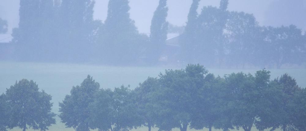 Im Nordosten Deutschlands wird heftiger Regen erwartet. (Archivbild)