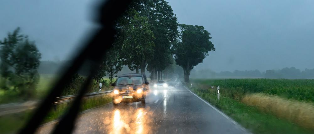 Während eines heftigen Regenschauers sind Autos auf einer Landstraße im östlichen Brandenburg unterwegs.