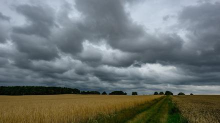 Weitere Gewitter ziehen bis zur Mitte der Woche über die Hauptstadtregion. (Symbolbild)