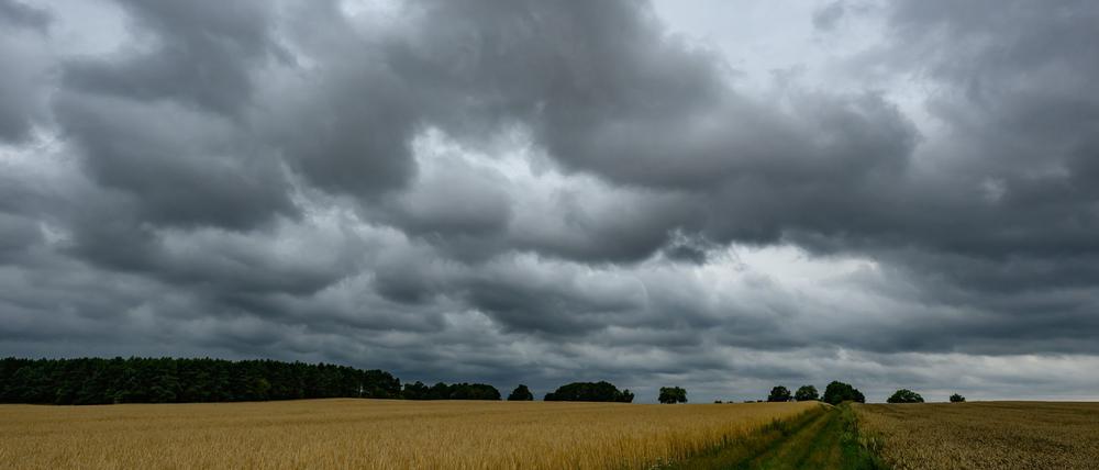 Weitere Gewitter ziehen bis zur Mitte der Woche über die Hauptstadtregion. (Symbolbild)