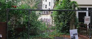 Blick auf den Hof des verwilderten Gebäudeensembles von „Pählchens Fuhrhof“ in der Görresstraße 21/23.
