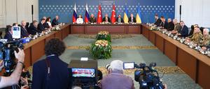 Letztes Treffen im Juni: Auf diesem von der staatlichen russischen Nachrichtenagentur Tass veröffentlichten Foto sitzen die Delegationen der direkten Verhandlung zwischen Russland und der Ukraine unter türkischer Führung zusammen