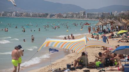Fischattacken stören die Idylle an der spanischen Mittelmeerküste fast nie. (Archivfoto)
