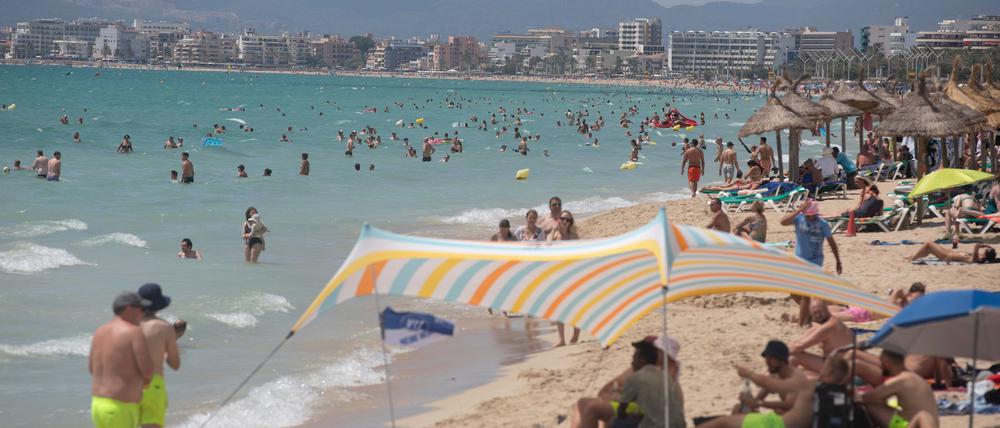 Fischattacken stören die Idylle an der spanischen Mittelmeerküste fast nie. (Archivfoto)