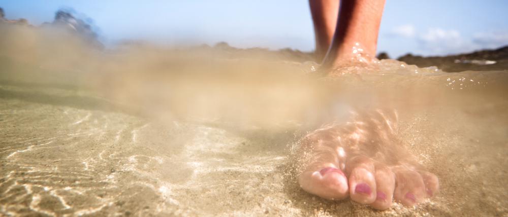 Petermännchen graben sich im Sommer in den Sand ein. Tritt man barfuß auf die Giftstacheln der Rückenflossen, kann das heftige Folgen haben.