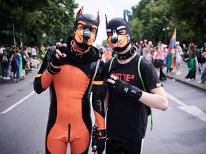 Beim Christopher Street Day sind Jahr für Jahr mehr Puppys mit dabei.  