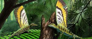 Mirasaurier lebten vor 247 Millionen Jahren im Wald und jagten Insekten, die kuriose, in dieser Form bislang unbekannte Hautauswüchse hatten. 