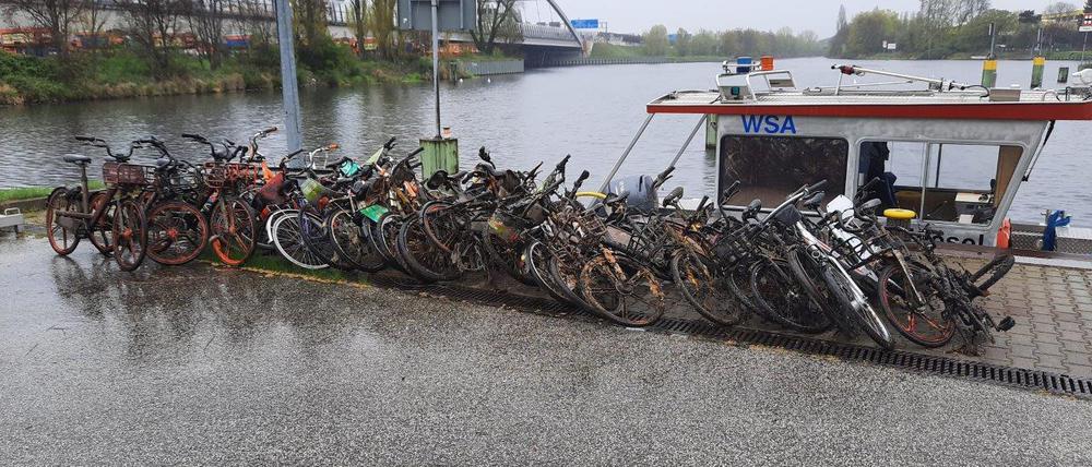 Die Ausbeute in Neukölln.