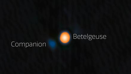 Astronomen haben wahrscheinlich einen Begleitstern von Beteigeuze (englisch: Betelgeuse) entdeckt. Der Begleitstern erscheint hier blau.