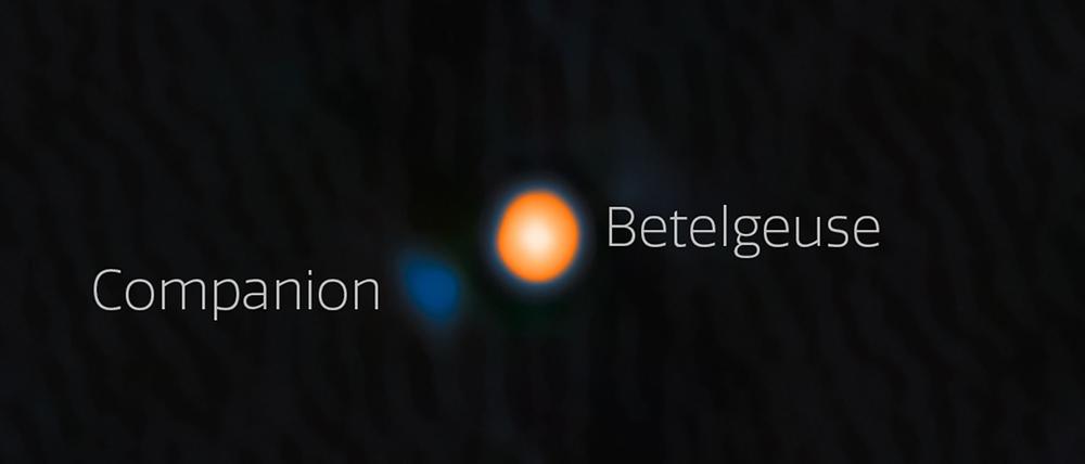 Astronomen haben wahrscheinlich einen Begleitstern von Beteigeuze (englisch: Betelgeuse) entdeckt. Der Begleitstern erscheint hier blau.