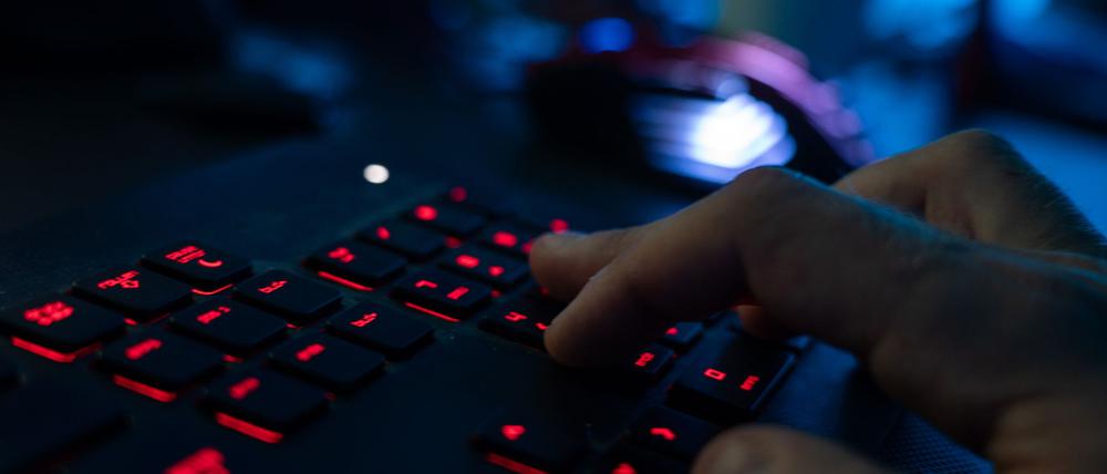 Nach Recherchen von „Zeit“ und „Hamburger Morgenpost“ war der mutmaßliche Pädo-Sadist, der im Internet unter dem Namen „White Tiger“ Kinder missbraucht und in den Suizid getrieben haben soll, schon 2021 von der Polizei vernommen worden. (Symbolbild) 