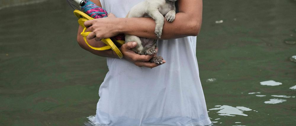 Ein Welpe wird von einem Mann getragen, nachdem er aus einem überschwemmten Haus auf den Philippinen gerettet wurde.