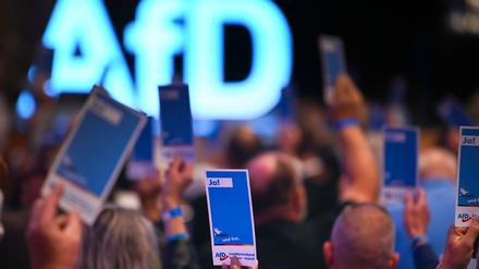 Die AfD will ihre neue Jugendorganisation stärker an sich binden. (Archivbild)
