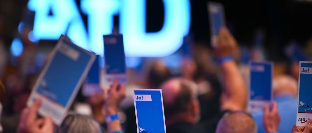 Die AfD will ihre neue Jugendorganisation stärker an sich binden. (Archivbild)