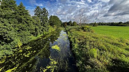 Die Nuthe in Potsdam, ein Nebenfluss der Havel, ist nach den Regenfällen der vergangenen Wochen wieder gut gefüllt.