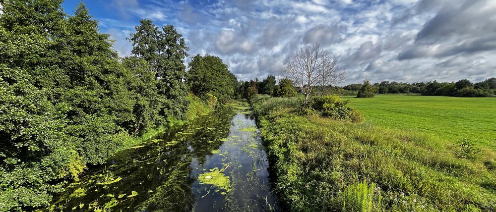 Die Nuthe in Potsdam, ein Nebenfluss der Havel, ist nach den Regenfällen der vergangenen Wochen wieder gut gefüllt.