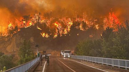 In mehreren türkischen Provinzen brennen derzeit Wälder.