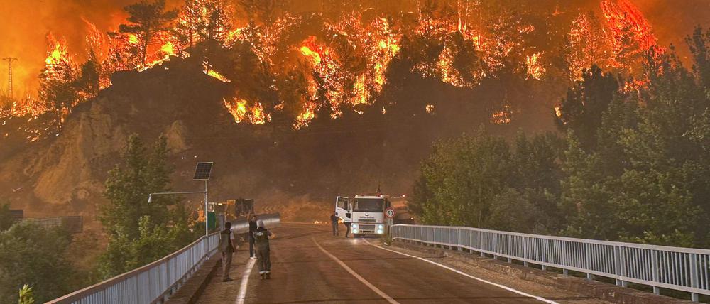 In mehreren türkischen Provinzen brennen derzeit Wälder.