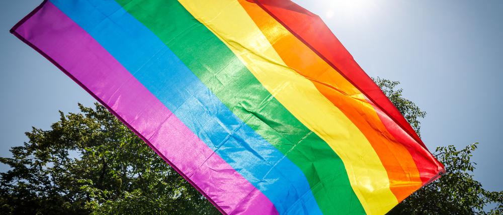 Eine Regenbogenfahne weht bei einem Umzug zum Christopher Street Day (CSD) in Oldenburg. (Symbolbild)