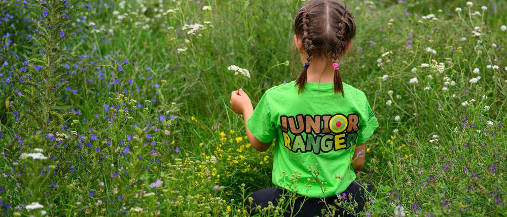 Rund 90 Kinder und Jugendliche treffen sich an diesem Wochenende zur 21. Auflage des Junior-Ranger-Camps in Criewen.