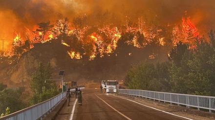 In der Türkei kämpfen Helfer gegen zahlreiche Waldbrände. 