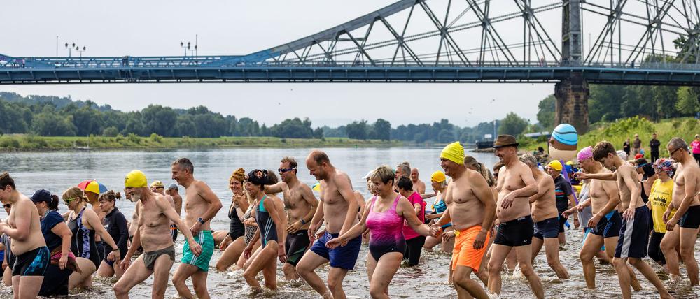 Hunderten Menschen machen beim Elbeschwimmen mit.