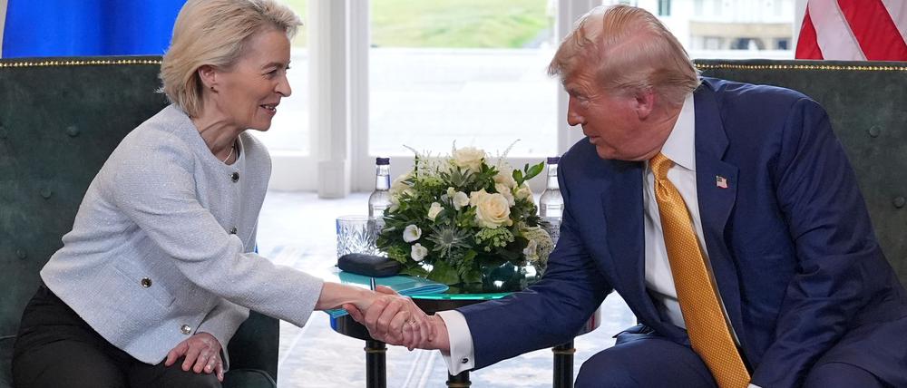 Die USA und die EU haben sich auf eine Grundsatzvereinbarung im Zollstreit geeinigt.