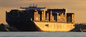 Der Containerfrachter CMA CGM Louis Bleriot läuft den Hamburger Hafen an.