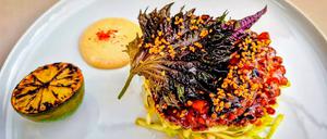 Pulpo mit Szechuan-Salat und Koriander.