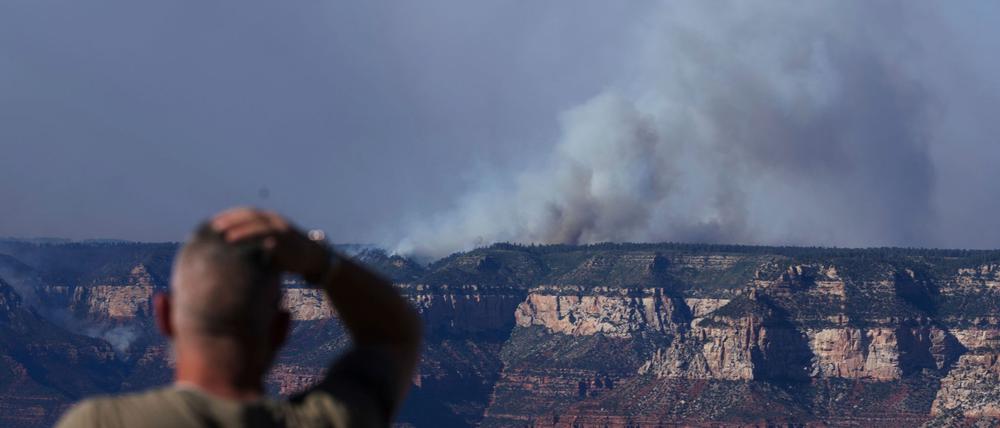 Der Grand-Canyon-Nationalpark an der US-Westküste ist bei Touristen beliebt.