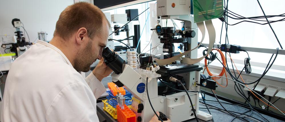 Brandenburg, Potsdam: Im Fraunhofer-Institut für Digitale Diagnostik des Potsdam Science Parks 