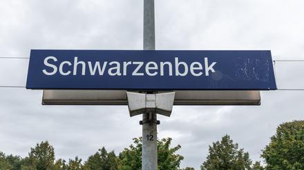Die Bahnstrecke zwischen Schwarzenbek und Hamburg-Bergedorf ist wegen eines Notarzteinsatzes gesperrt. (Archivbild)