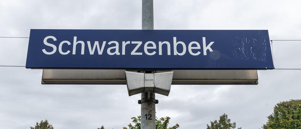 Die Bahnstrecke zwischen Schwarzenbek und Hamburg-Bergedorf ist wegen eines Notarzteinsatzes gesperrt. (Archivbild)