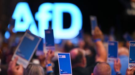 AfD-Parteitag in Sachsen-Anhalt.