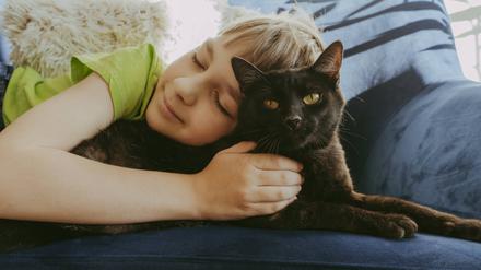 Creative Highlights Symbolbilder Smiling boy with eyes closed lying down with cat on sofa at home model released, Symbolfoto property released, OSF02384