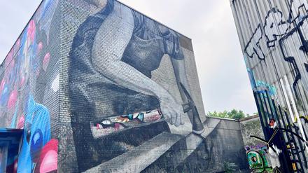 Die indische Streetart-Künstlerin Anpu Varkey hat ein Mural auf dem Berliner Teufelsberg gestaltet.
