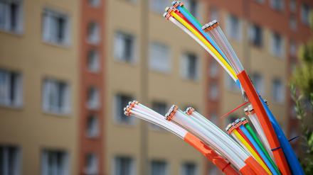 Die Bundesnetzagentur sieht kein wettbewerbswidriges Verhalten der Deutschen Telekom beim Glasfaserausbau. (Archivbild)