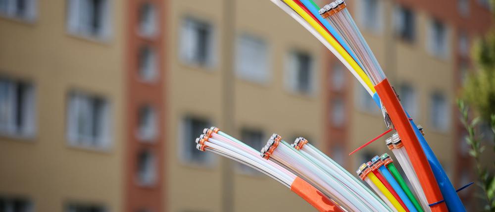 Die Bundesnetzagentur sieht kein wettbewerbswidriges Verhalten der Deutschen Telekom beim Glasfaserausbau. (Archivbild)