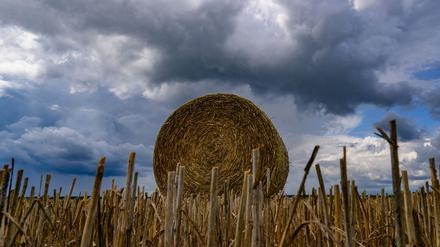 Am Donnerstag sind dichte Wolken angesagt. (Symbolbild)