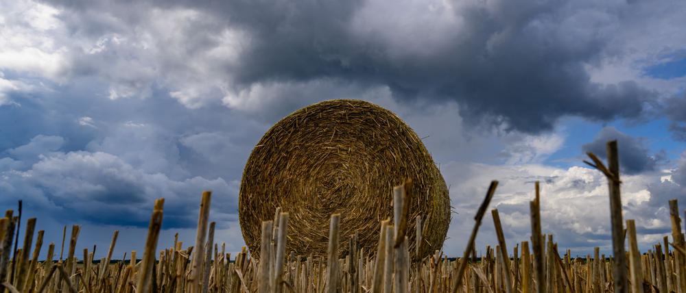 Am Donnerstag sind dichte Wolken angesagt. (Symbolbild)