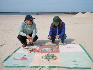 Feiner Sand, schlimmer Tand: Strandbingo.