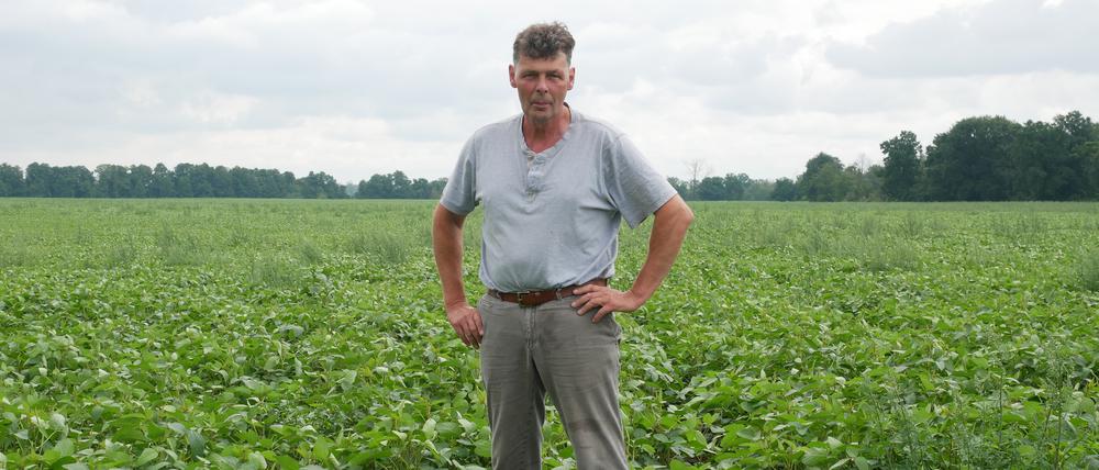 Biolandwirt Bernard Albers in einem Sojabohnenfeld.