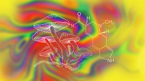 Eine neue Studie legt den Nutzen des Pilz-Wirkstoffes Psilocybin bei der Bekämpfung von Depression nahe. Auch LSD kommt als Mittel zur Selbstoptimierung zurück. Zwei Charité-Forscher haben eine große Studie dazu gemacht