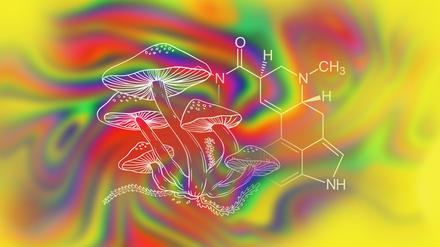 Eine neue Studie legt den Nutzen des Pilz-Wirkstoffes Psilocybin bei der Bekämpfung von Depression nahe. Auch LSD kommt als Mittel zur Selbstoptimierung zurück. Zwei Charité-Forscher haben eine große Studie dazu gemacht