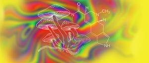 Eine neue Studie legt den Nutzen des Pilz-Wirkstoffes Psilocybin bei der Bekämpfung von Depression nahe. Auch LSD kommt als Mittel zur Selbstoptimierung zurück. Zwei Charité-Forscher haben eine große Studie dazu gemacht