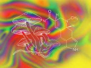 Eine neue Studie legt den Nutzen des Pilz-Wirkstoffes Psilocybin bei der Bekämpfung von Depression nahe. Auch LSD kommt als Mittel zur Selbstoptimierung zurück. Zwei Charité-Forscher haben eine große Studie dazu gemacht