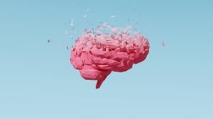Eine Alzheimer-Erkrankung mindert das Vermögen zur Informationsverarbeitung und die Gedächtnisleistung.