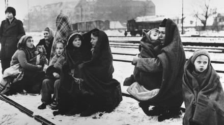 Aus Polen geflüchtete Frauen und Kinder in einem Randgebiet von Berlin im Dezember 1945.