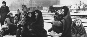 Aus Polen geflüchtete Frauen und Kinder in einem Randgebiet von Berlin im Dezember 1945.